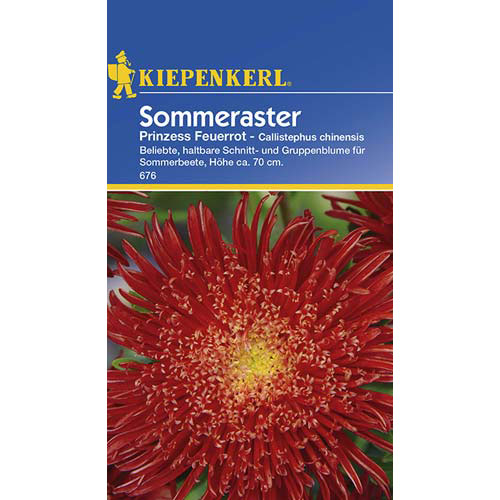 Aster Prinzess, raudona Kiepenkerl interface.art nuotrauka 1 Aster Prinzess, raudona Kiepenkerl interface.image 1 interface.art 77430