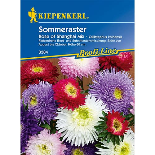 Astrai Rose of Shanghai interface.image 1 interface.art 86317