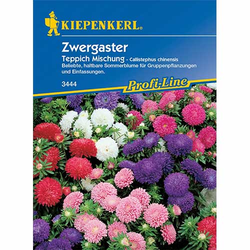 Aster Teppich, mix Kiepenkerl interface.image 1 interface.art 96574