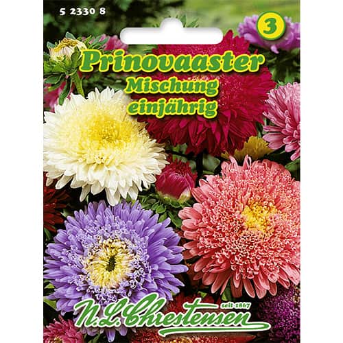 Astrai kininiai stambiažiedžiai, mišinys Chrestensen interface.image 1 interface.art 86137