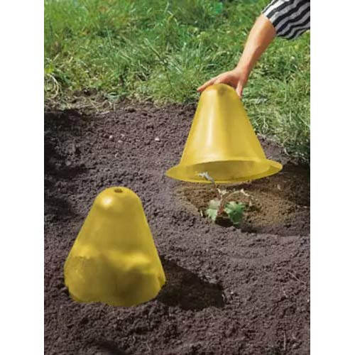 Augalų apsaugos gaubtas interface.image 1 interface.art 96979