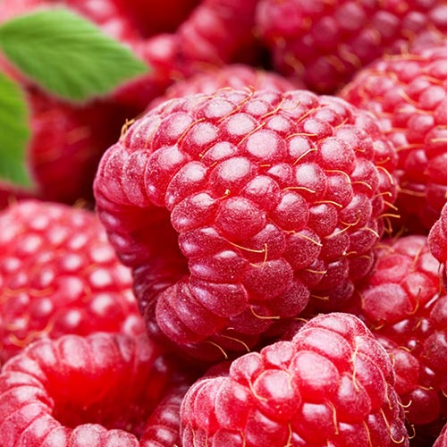 Avietinė Red Giant interface.image 1 interface.art 7524