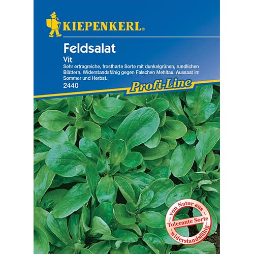 Sultenės Vit interface.image 1 interface.art 77495