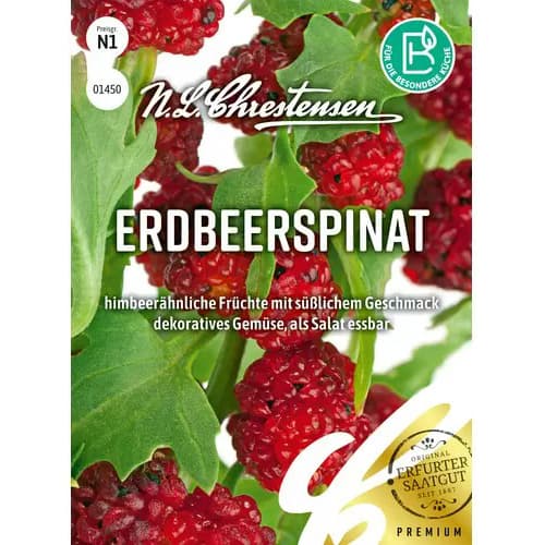 Žemuoginis špinatas interface.image 1 interface.art 96472