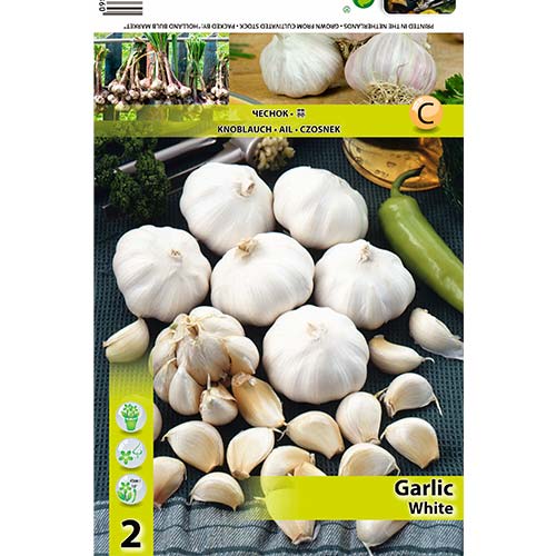 Baltas česnakas interface.image 1 interface.art 70500