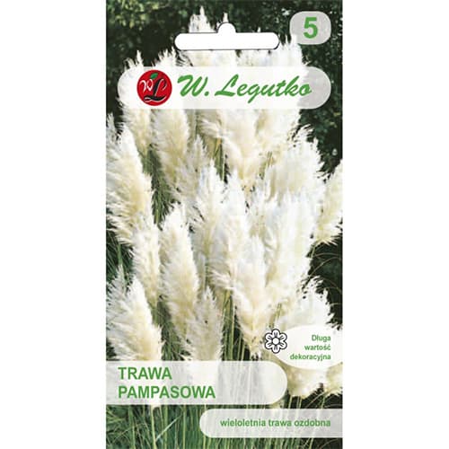 Baltoji pampų žolė interface.art nuotrauka 1 Baltoji pampų žolė interface.image 1 interface.art 69634