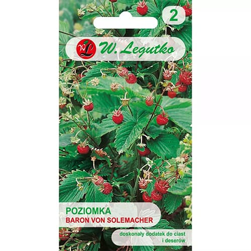 Baron von Solemacher braškės interface.image 1 interface.art 69529