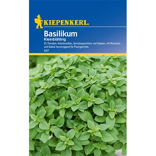 Bazilikai mažalapiai Kiepenkerl interface.image 1 interface.art 77456