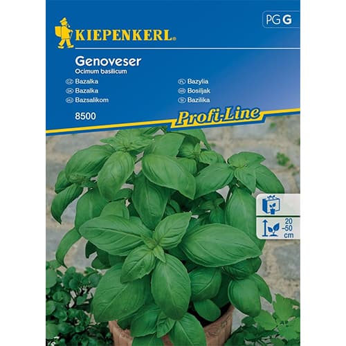 Bazilikai plačialapiai interface.art nuotrauka 1 Bazilikai plačialapiai interface.image 1 interface.art 96592