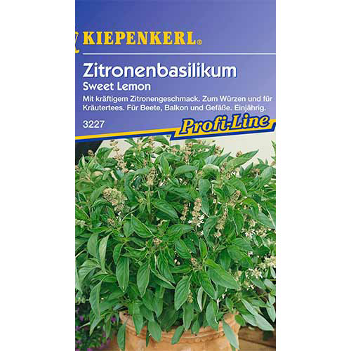 Bazilikas Sweet Lemon Kiepenkerl interface.art nuotrauka 1 Bazilikas Sweet Lemon Kiepenkerl interface.image 1 interface.art 86558