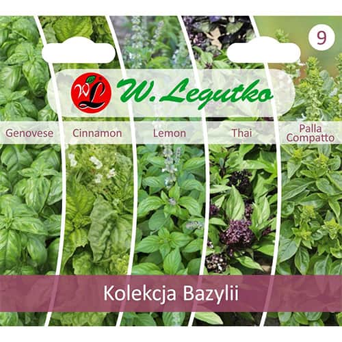 Bazilikų kolekcija interface.art nuotrauka 1 Bazilikų kolekcija interface.image 1 interface.art 96837