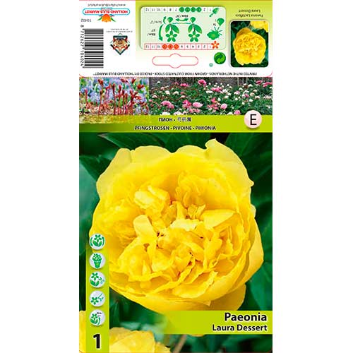 Bijūnas Laura Dessert interface.image 1 interface.art 76614