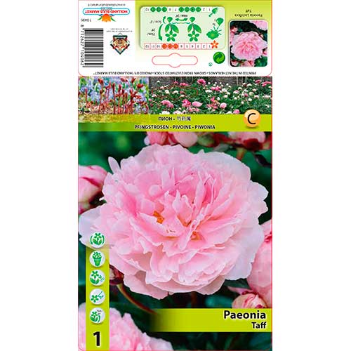 Bijūnas Taff interface.image 1 interface.art 76341