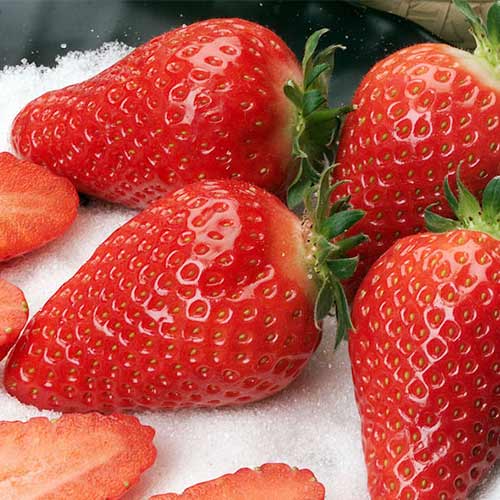 Braškės Alba interface.image 1 interface.art 5391