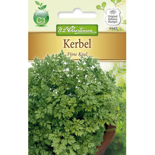 Petražolės Fijne Krul interface.image 1 interface.art 78854