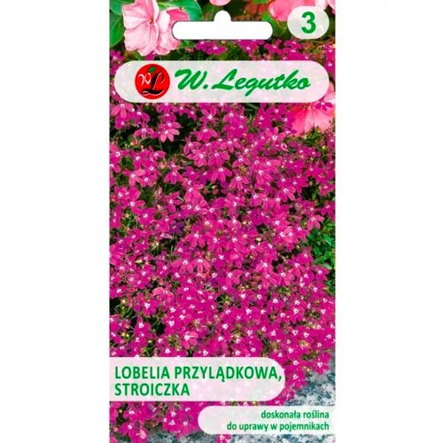 Cape lobelija (Steeple) karminas-raudona Legutko interface.image 1 interface.art 78572