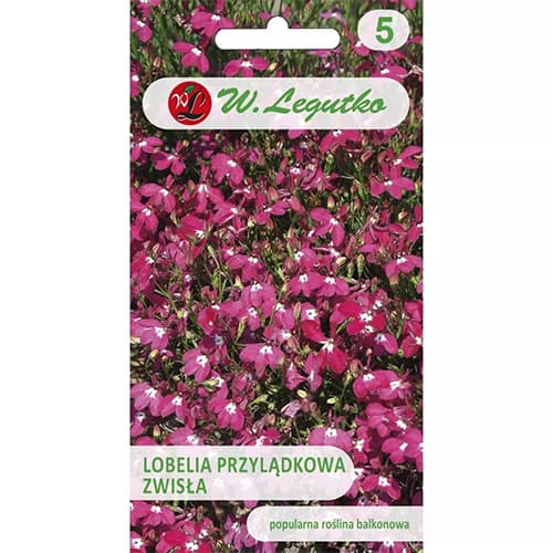 Cape lobelija (Steeple) karminas-raudona svyruoklinis interface.image 1 interface.art 78622