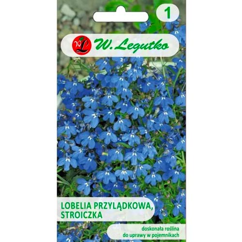 Cape lobelija (Steeple) mėlyna Legutko interface.image 1 interface.art 78573