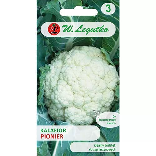 Cauliflower Pionier interface.image 1 interface.art 78469