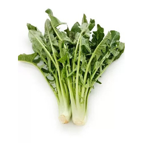 Cikorija Imero Chrestensen interface.image 1 interface.art 96501