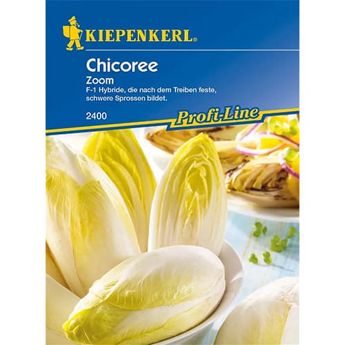 Cikorijos salotinės Zoom F1 interface.image 1 interface.art 86424