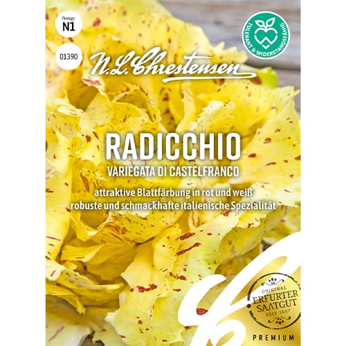 Cikorijos Variegata di Castelfranco interface.image 1 interface.art 86082