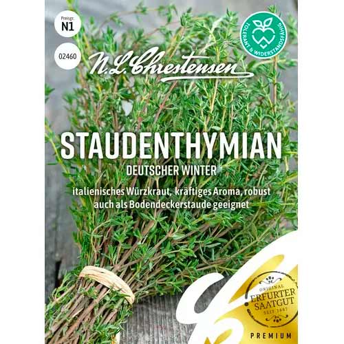 Čiobreliai daugiamečiai Deutscher Winter Chrestensen interface.image 1 interface.art 50056