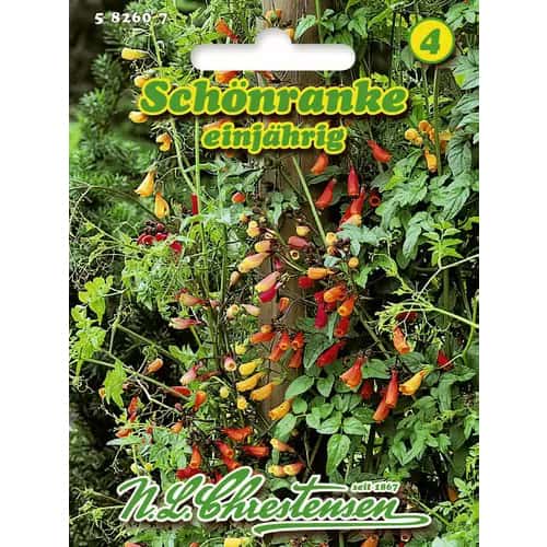 Šiurkštieji ekrenokarpai, mišinys interface.image 1 interface.art 96417