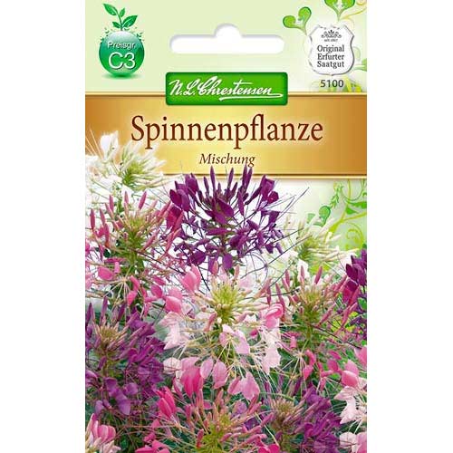 Dygiosios kleomės, mišinys interface.image 1 interface.art 78902