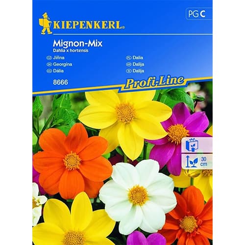 Didžiagraižiai jurginai Dahlia Mignon, mišinys interface.image 1 interface.art 96525