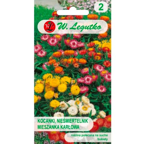 Darželiniai šlamučiai Tom Thumb, mišinys Legutko interface.art nuotrauka 1 Darželiniai šlamučiai Tom Thumb, mišinys Legutko interface.image 1 interface.art 78569