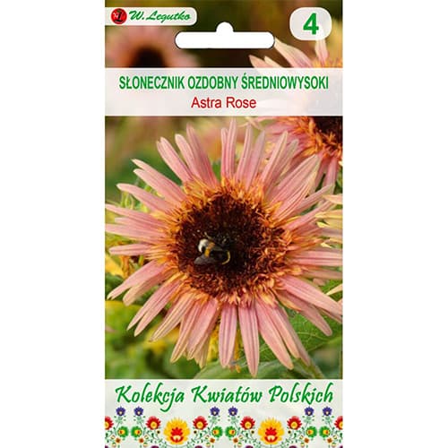 Dekoratyvinės saulėgrąžos Astra Rose interface.art nuotrauka 1 Dekoratyvinės saulėgrąžos Astra Rose interface.image 1 interface.art 96748