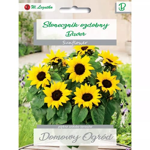 Dekoratyvinės saulėgrąžos Baver interface.image 1 interface.art 69662