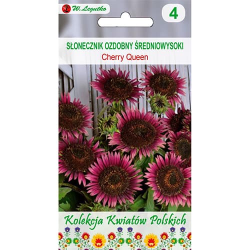 Dekoratyvinės saulėgrąžos Cherry Queen interface.art nuotrauka 1 Dekoratyvinės saulėgrąžos Cherry Queen interface.image 1 interface.art 96749