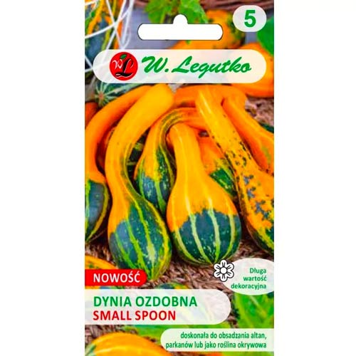 Dekoratyviniai moliūgai Small Spoon Legutko interface.art nuotrauka 1 Dekoratyviniai moliūgai Small Spoon Legutko interface.image 1 interface.art 96769