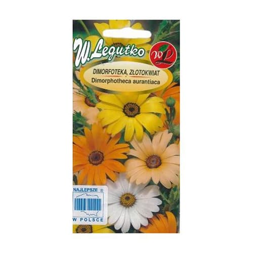 Dimorphothecas, Auksaplaukių mišinys interface.art nuotrauka 1 Dimorphothecas, Auksaplaukių mišinys interface.image 1 interface.art 69581