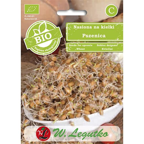 Dygstančios sėklos - kviečiai interface.image 1 interface.art 86683