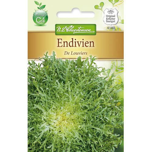 Endivijos De Louviers interface.art nuotrauka 1 Endivijos De Louviers interface.image 1 interface.art 78765