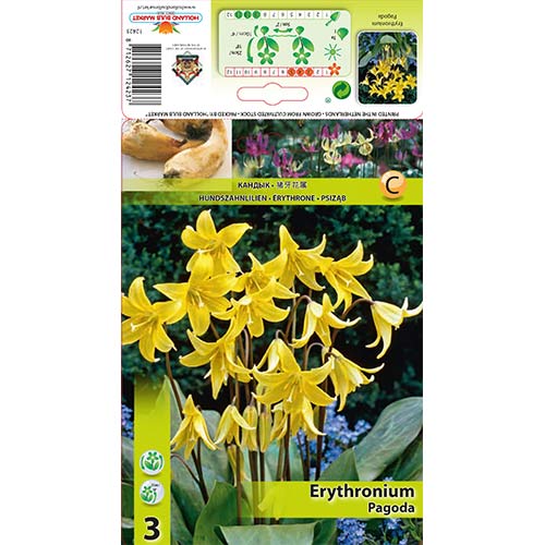 Eritronis Pagoda interface.image 1 interface.art 67350