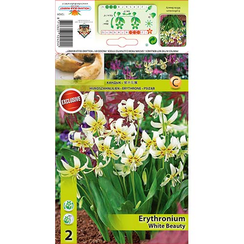 Eritronis White Beauty interface.art nuotrauka 1 Eritronis White Beauty interface.image 1 interface.art 67351