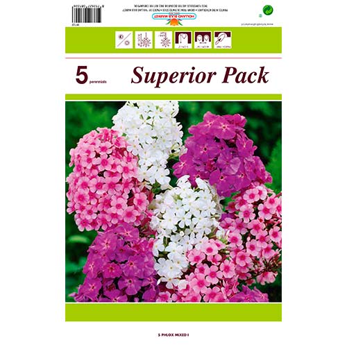 Flioksas (Phlox) Mixed interface.image 1 interface.art 76491