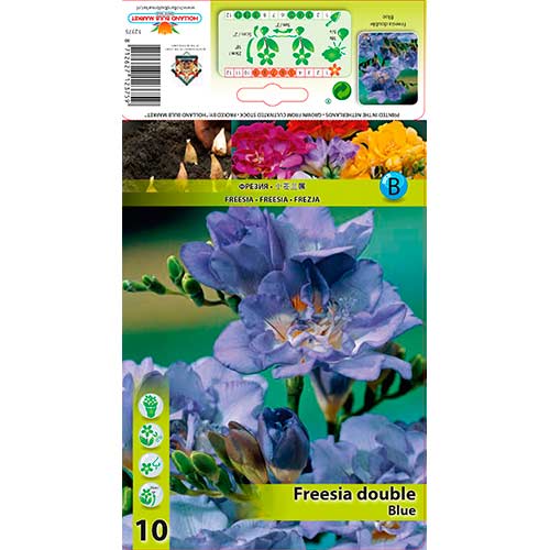 Frezija Double Blue interface.image 1 interface.art 76234