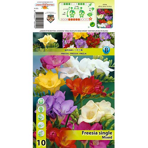 Frezija (Freesia) Single Mixed interface.image 1 interface.art 70390
