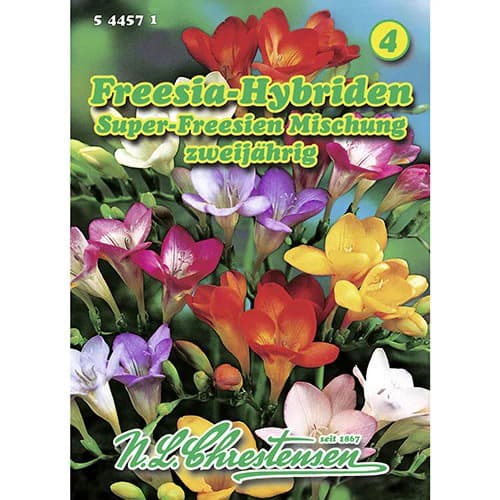 Frezijos sodo, mišinys interface.image 1 interface.art 96421