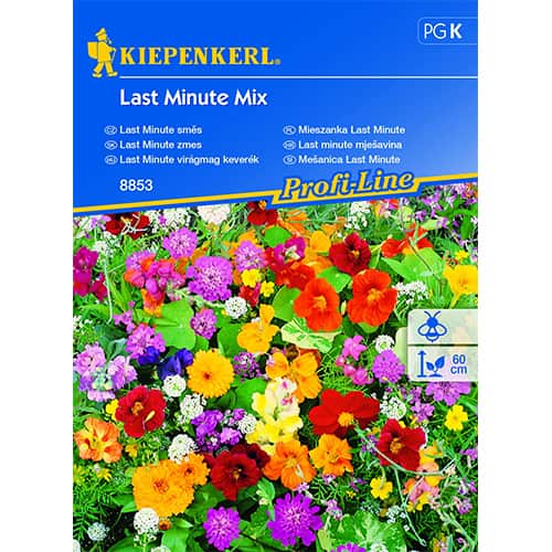 Gėlių mišinys Blumenmischung Last Minute Mix interface.art nuotrauka 1 Gėlių mišinys Blumenmischung Last Minute Mix interface.image 1 interface.art 87744