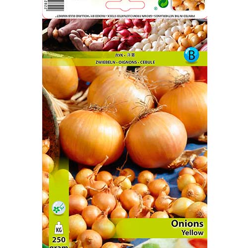 Geltonasis svogūnas interface.image 1 interface.art 70496