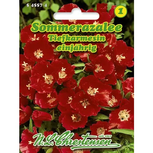 Godetijos raudonos interface.art nuotrauka 1 Godetijos raudonos interface.image 1 interface.art 96425