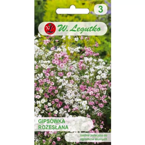 Gubojos Gypsophila, mišinys Legutko interface.art nuotrauka 1 Gubojos Gypsophila, mišinys Legutko interface.image 1 interface.art 78601