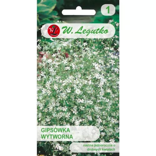 Gubojos Gypsophila rafinuotosios baltas Legutko interface.art nuotrauka 1 Gubojos Gypsophila rafinuotosios baltas Legutko interface.image 1 interface.art 78555