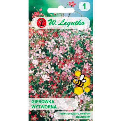 Gubojos Gypsophila rafinuotosios, mišinys Legutko interface.art nuotrauka 1 Gubojos Gypsophila rafinuotosios, mišinys Legutko interface.image 1 interface.art 78557